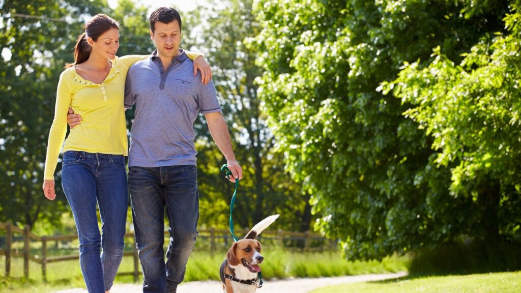 couple walking dog in the park