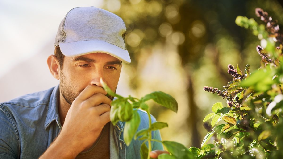 man smelling a plant