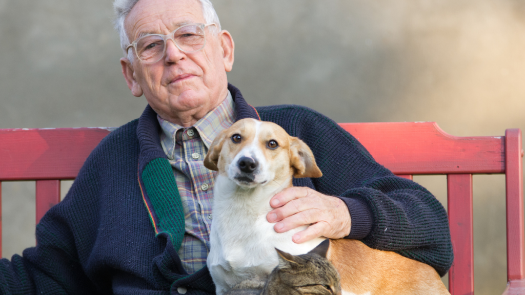 Older man and dog on park bench