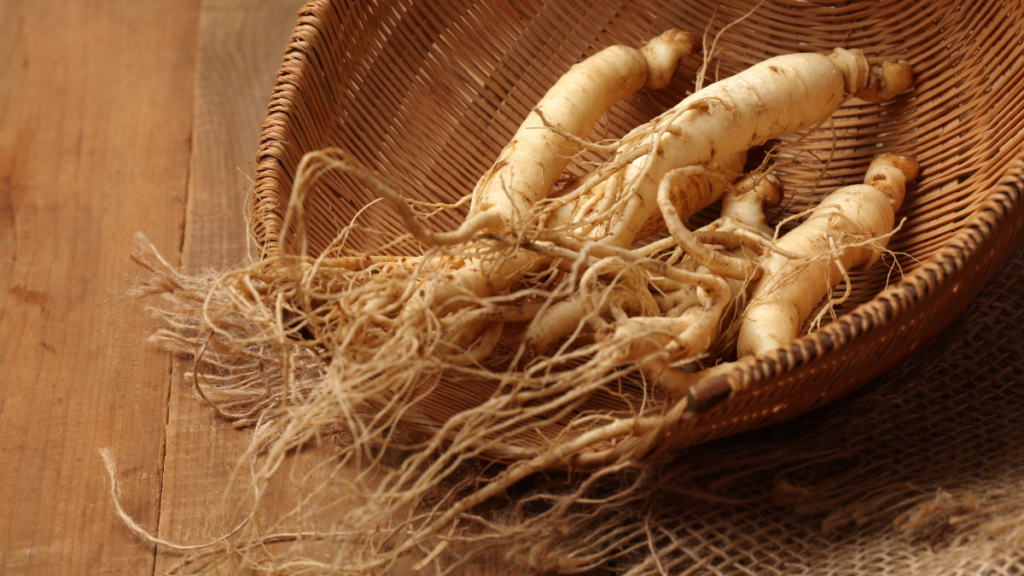 Ginseng 