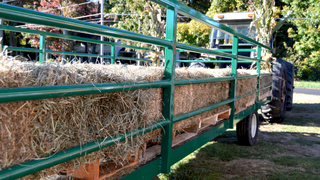 hayride