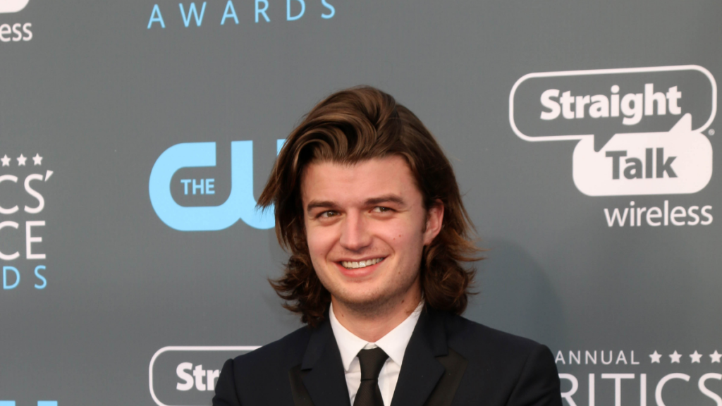 joe keery 