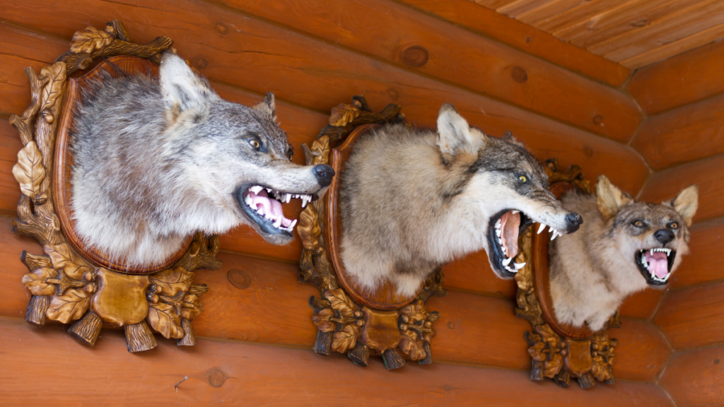 wolf heads