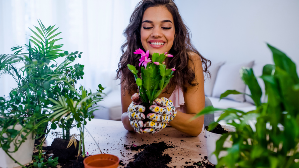 Woman House Plants